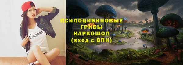 МДМА Няндома
