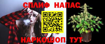 сатива Кандалакша