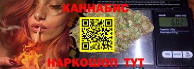 сатива Кандалакша