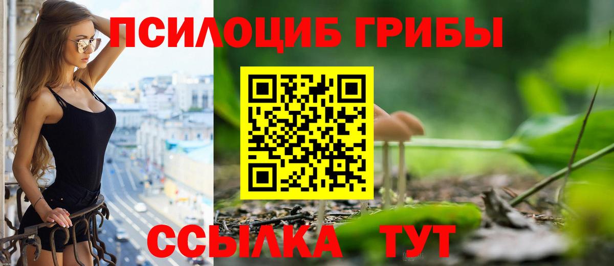 Псилоцибиновые грибы MAGIC MUSHROOMS Жуковский
