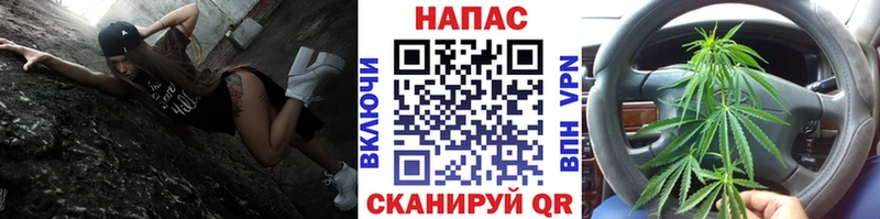 купить  цена  OMG сайт  Шишки марихуана семена  Жуковский 